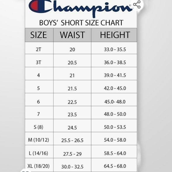 CHAMPION Boys Hertiage Script Mesh Short Size L - Picture 8 of 8